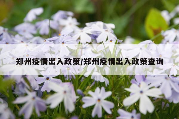 郑州疫情出入政策/郑州疫情出入政策查询