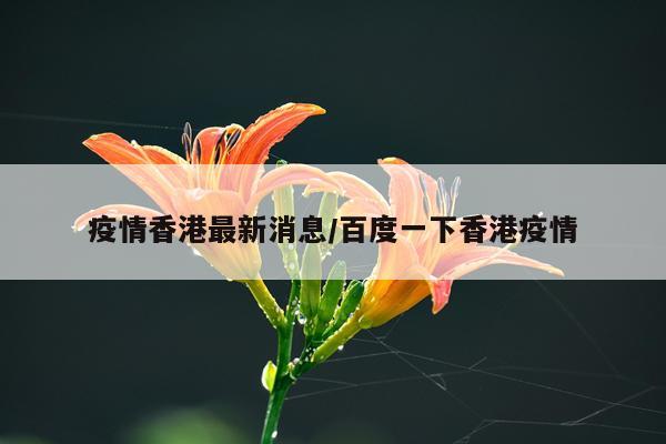 疫情香港最新消息/百度一下香港疫情