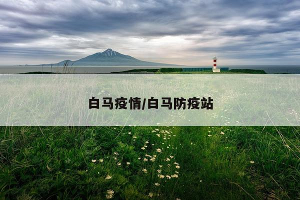 白马疫情/白马防疫站