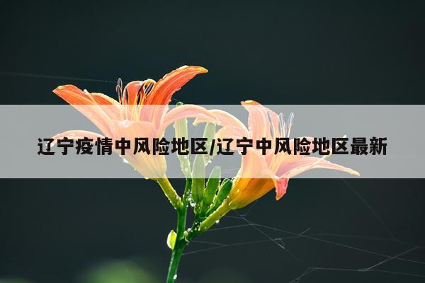 辽宁疫情中风险地区/辽宁中风险地区最新