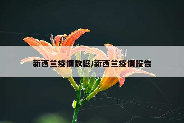 新西兰疫情数据/新西兰疫情报告