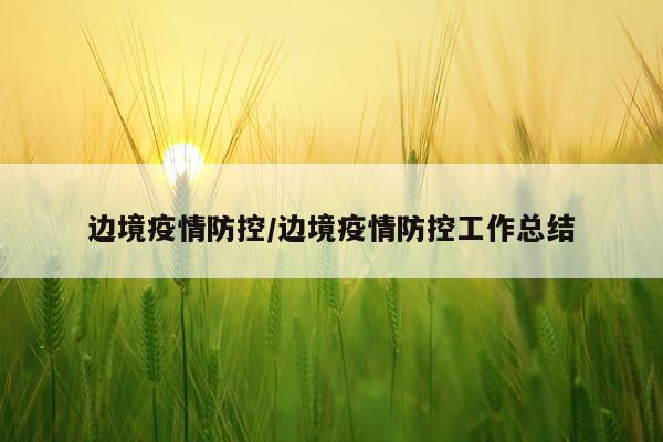 边境疫情防控/边境疫情防控工作总结