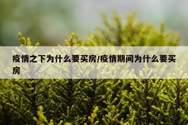 疫情之下为什么要买房/疫情期间为什么要买房