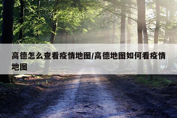高德怎么查看疫情地图/高德地图如何看疫情地图