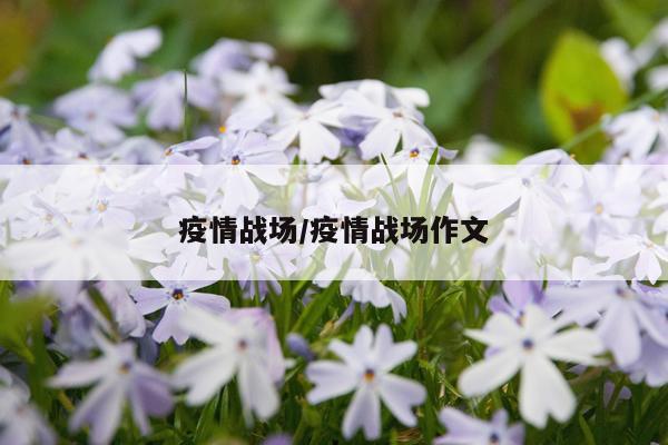 疫情战场/疫情战场作文