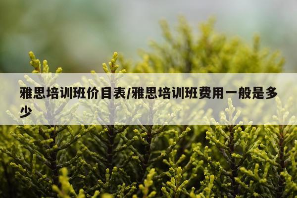 雅思培训班价目表/雅思培训班费用一般是多少