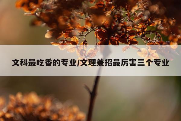 文科最吃香的专业/文理兼招最厉害三个专业