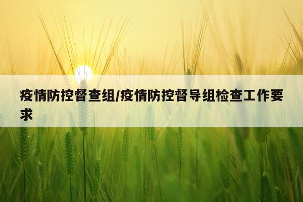 疫情防控督查组/疫情防控督导组检查工作要求