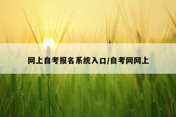 网上自考报名系统入口/自考网网上