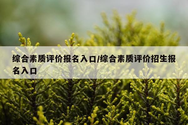 综合素质评价报名入口/综合素质评价招生报名入口
