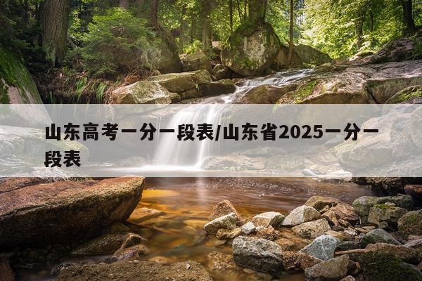山东高考一分一段表/山东省2025一分一段表