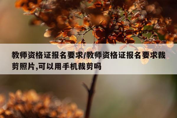 教师资格证报名要求/教师资格证报名要求裁剪照片,可以用手机裁剪吗