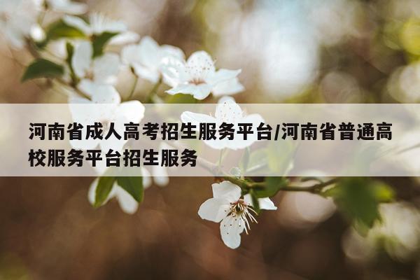河南省成人高考招生服务平台/河南省普通高校服务平台招生服务