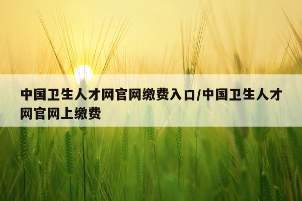 中国卫生人才网官网缴费入口/中国卫生人才网官网上缴费