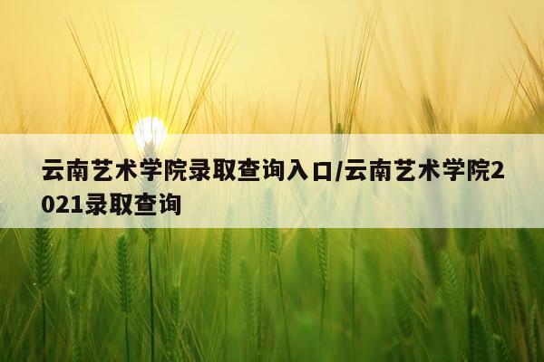 云南艺术学院录取查询入口/云南艺术学院2021录取查询