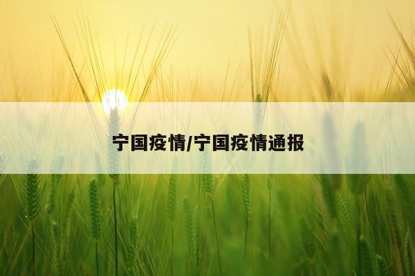 宁国疫情/宁国疫情通报