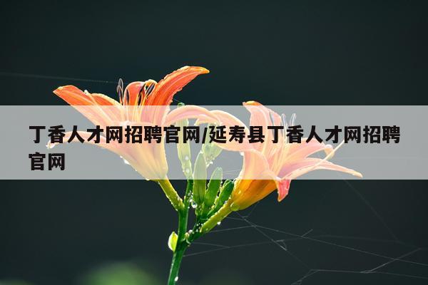 丁香人才网招聘官网/延寿县丁香人才网招聘官网