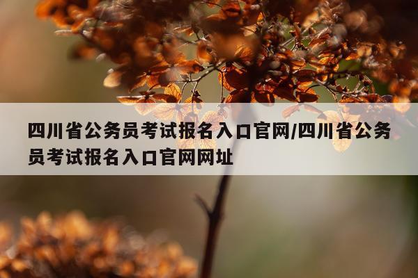 四川省公务员考试报名入口官网/四川省公务员考试报名入口官网网址