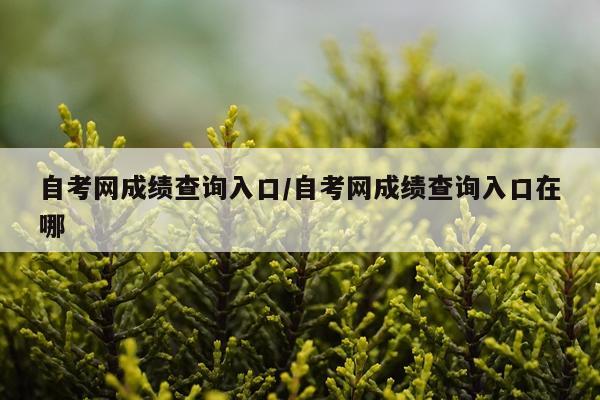 自考网成绩查询入口/自考网成绩查询入口在哪