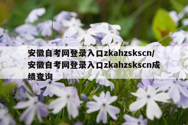 安徽自考网登录入口zkahzskscn/安徽自考网登录入口zkahzskscn成绩查询