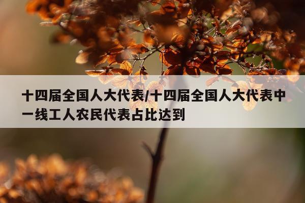十四届全国人大代表/十四届全国人大代表中一线工人农民代表占比达到