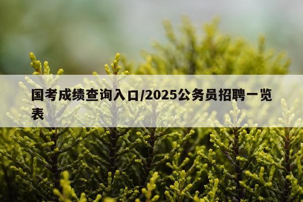 国考成绩查询入口/2025公务员招聘一览表