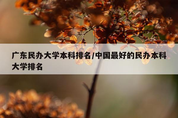 广东民办大学本科排名/中国最好的民办本科大学排名
