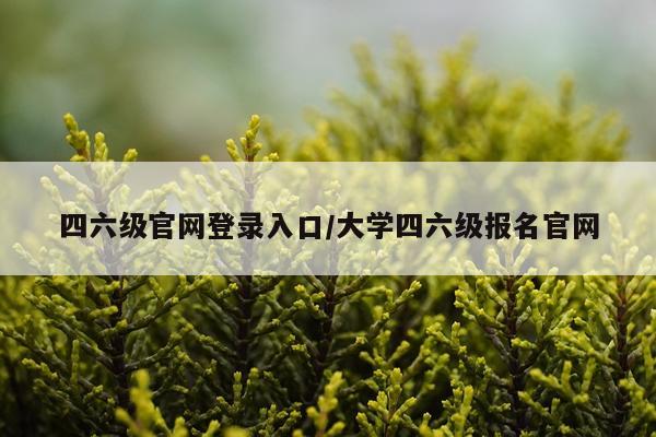 四六级官网登录入口/大学四六级报名官网