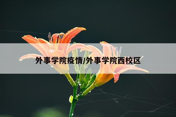 外事学院疫情/外事学院西校区