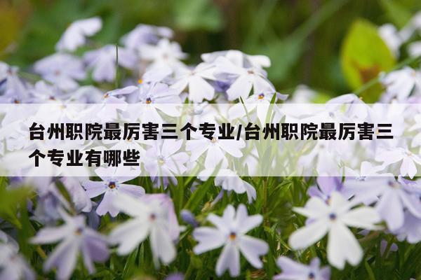 台州职院最厉害三个专业/台州职院最厉害三个专业有哪些
