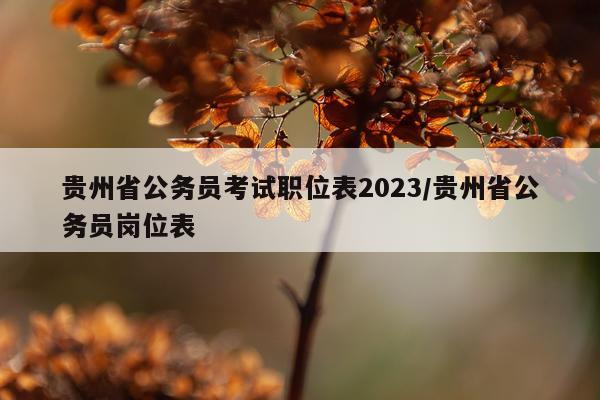贵州省公务员考试职位表2023/贵州省公务员岗位表