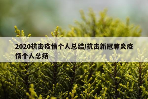 2020抗击疫情个人总结/抗击新冠肺炎疫情个人总结