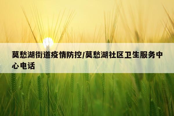 莫愁湖街道疫情防控/莫愁湖社区卫生服务中心电话