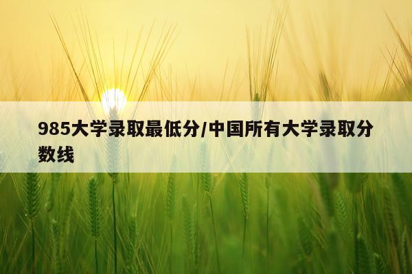 985大学录取最低分/中国所有大学录取分数线