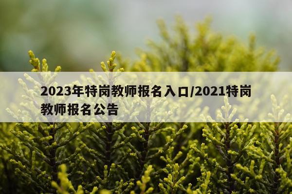 2023年特岗教师报名入口/2021特岗教师报名公告