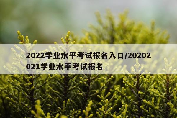 2022学业水平考试报名入口/20202021学业水平考试报名