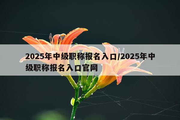 2025年中级职称报名入口/2025年中级职称报名入口官网