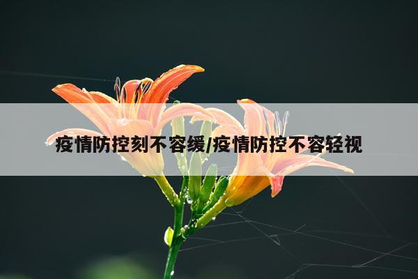 疫情防控刻不容缓/疫情防控不容轻视