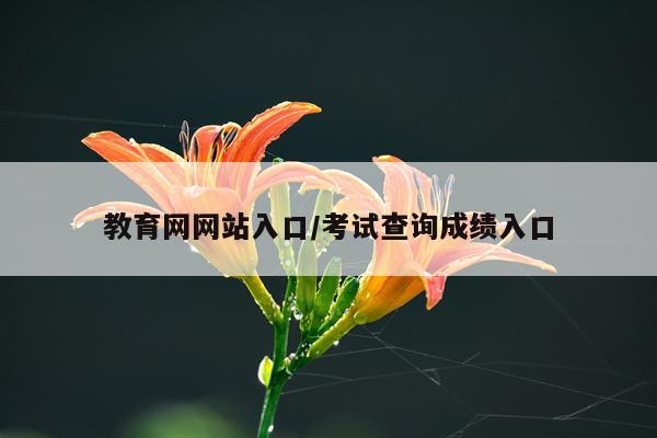 教育网网站入口/考试查询成绩入口