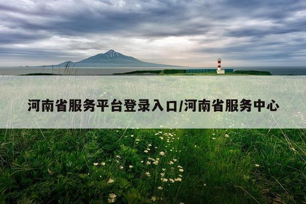 河南省服务平台登录入口/河南省服务中心