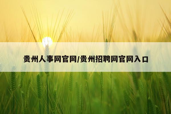 贵州人事网官网/贵州招聘网官网入口