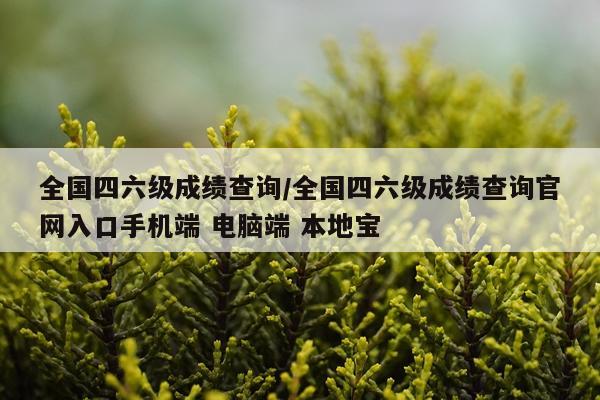 全国四六级成绩查询/全国四六级成绩查询官网入口手机端 电脑端 本地宝