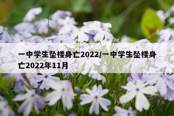 一中学生坠楼身亡2022/一中学生坠楼身亡2022年11月