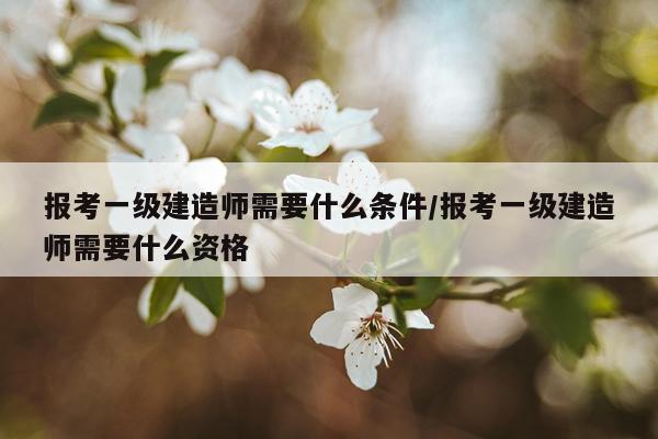 报考一级建造师需要什么条件/报考一级建造师需要什么资格