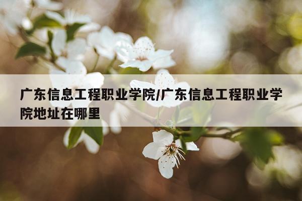 广东信息工程职业学院/广东信息工程职业学院地址在哪里