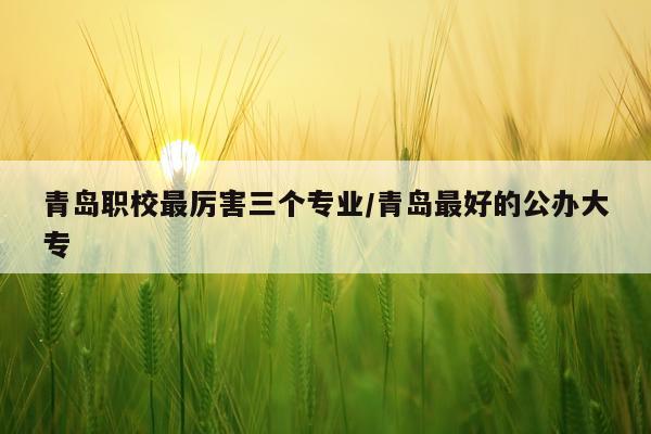 青岛职校最厉害三个专业/青岛最好的公办大专