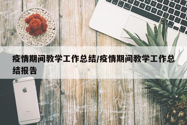 疫情期间教学工作总结/疫情期间教学工作总结报告