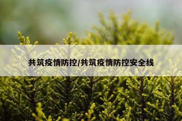 共筑疫情防控/共筑疫情防控安全线