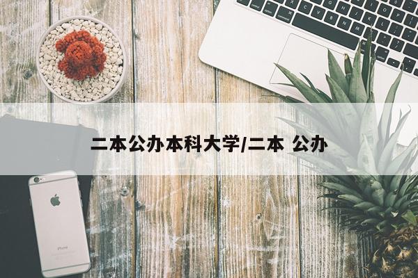 二本公办本科大学/二本 公办