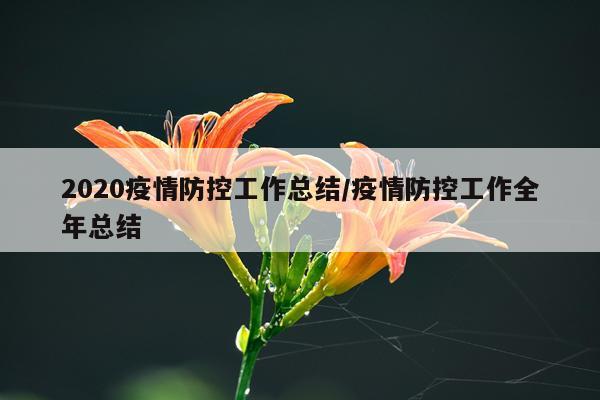 2020疫情防控工作总结/疫情防控工作全年总结